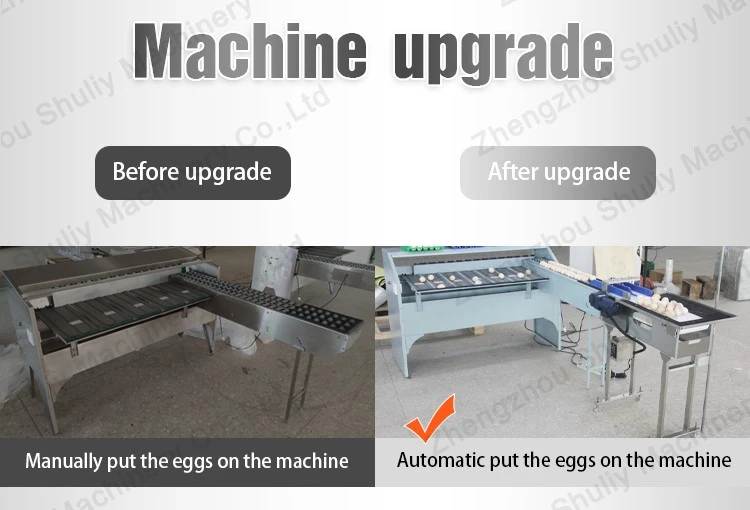 new egg sorting machine new egg sorting machine