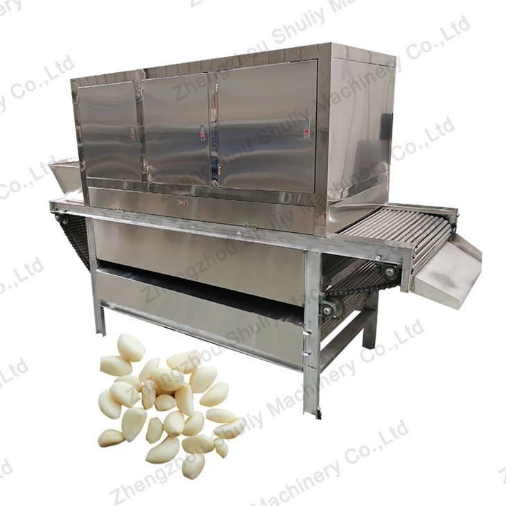 garlic peeling machine (5)