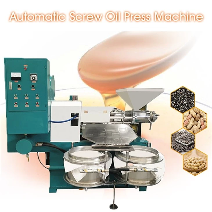 screw oil pressing machine