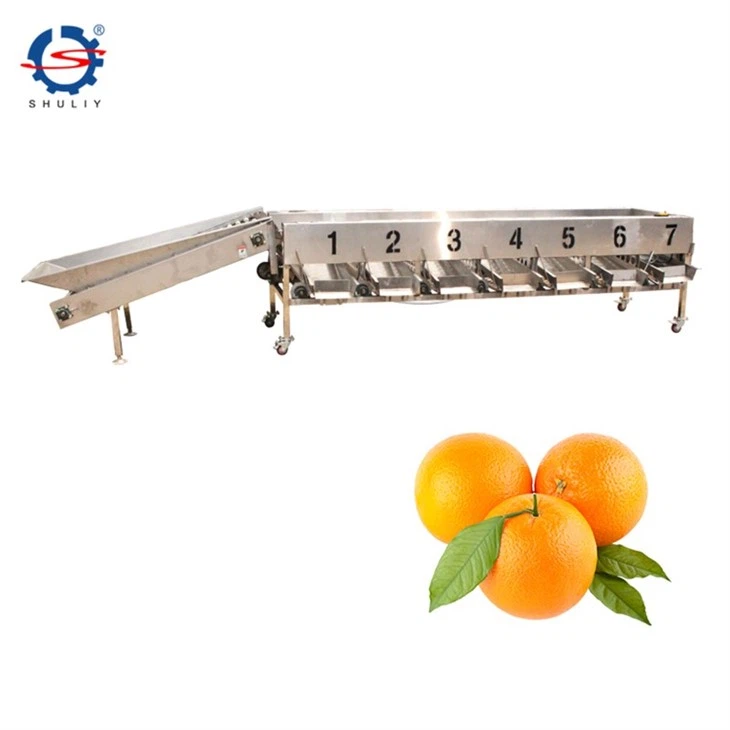 fruit size grading machine