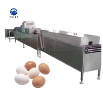 Yumurta Yıkama Makinası