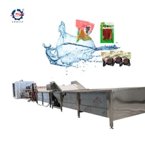 Paketli Gıda Yıkama Hattı