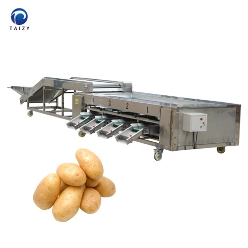 Patates Ayırma Makinesi