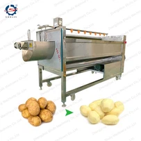 Patates Yıkama Makinesi