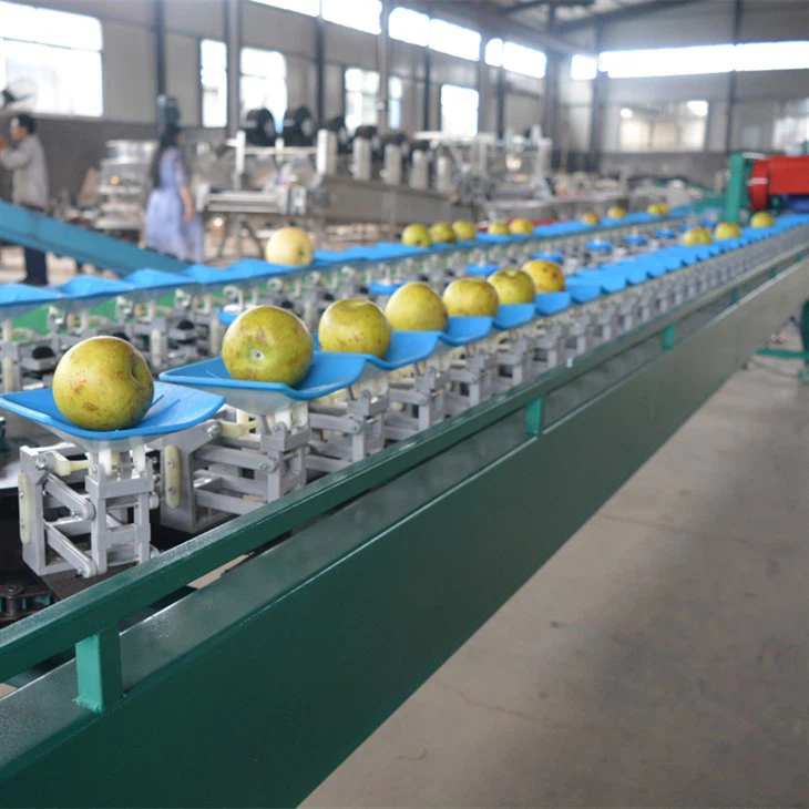Weight Grading Machine