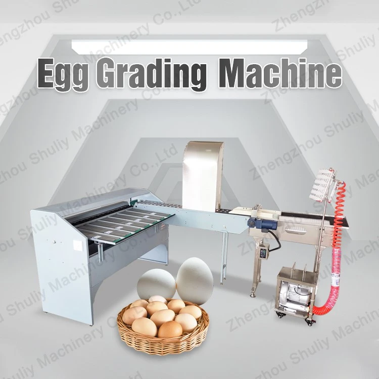 304 stainless steel egg sorting machine 304 stainless steel egg sorting machine