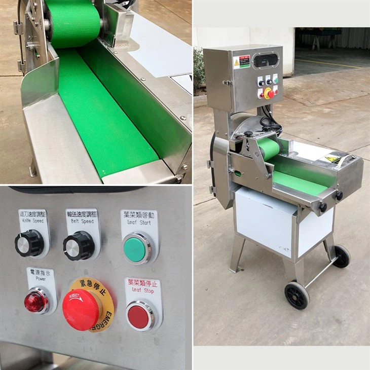 vegetable cutter machine (1)